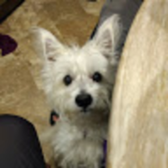 Meet your Posher, Stephen - Picture 1 of 1